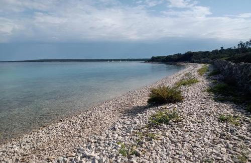 Rose house - Foto 26