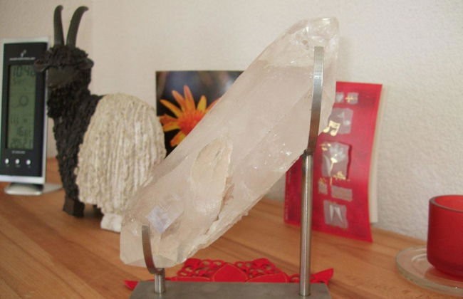 Amici 1. OG West - Foto 76