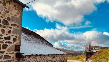 La Grange de Timon - Photo 4