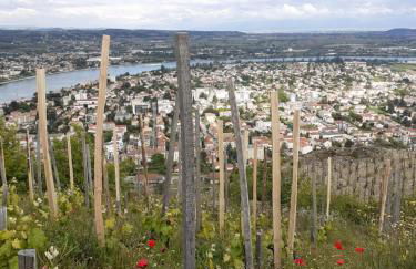 Gîte du vigneron à La Terrasse piscine local vélos - Photo 24