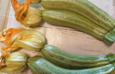 Agriturismo Caruggiu di via vecchia - Foto 71