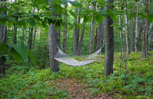 Modern Hideaway with Deck and State Forest Access - Foto 34