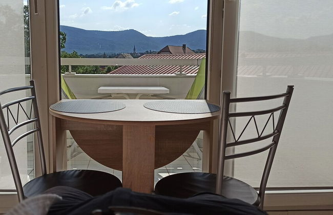 Studio 1 - Location de Vacances Obernai - Photo 4