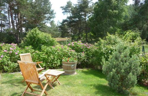 Steinbock-Ferienwohnungen - Foto 15