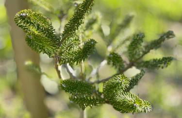 Casa da nascente douro - Foto 41