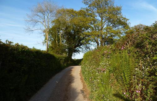 Orchard Loft - Foto 30