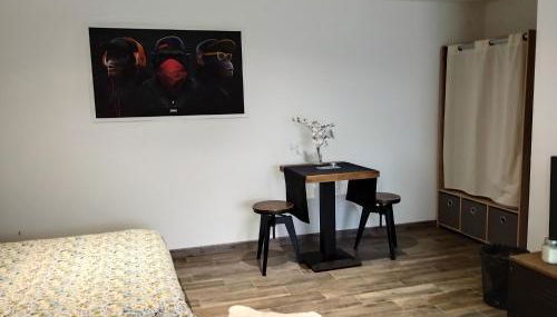 Studio à Bellegarde - Foto 4