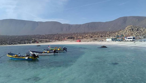 Tour por La Serena e Coquimbo - Foto 2, As belas praias do litoral entre La Serena e Coquimbo