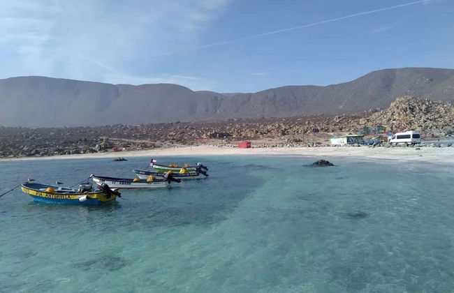 La Serena & Coquimbo Tour - Photo 4