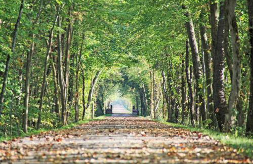 Charming 2BR Home w Outdoor Space & BBQ Grill - Foto 36