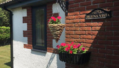 Buena Vista - Foto 2