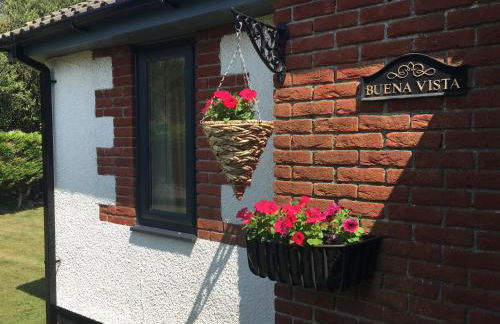Buena Vista - Foto 2