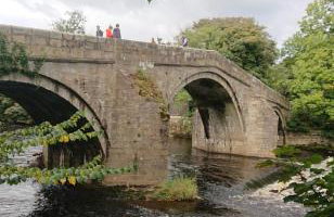 Spacious and bright 1 - bedroom rental unit - Photo 16