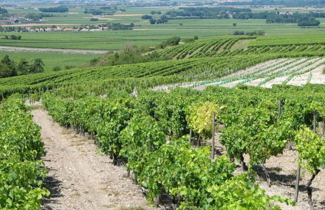 Luxury Apartment With Terrace, Sauna, Tennis, Pool - Foto 55