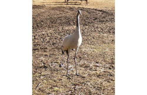 Holiday apartment with 2 bedrooms - Foto 15