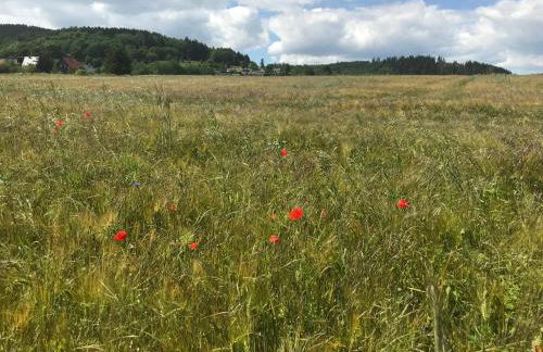 Unterkunft bis 7 Personen in Ilmenau Oehrenstock - Foto 14