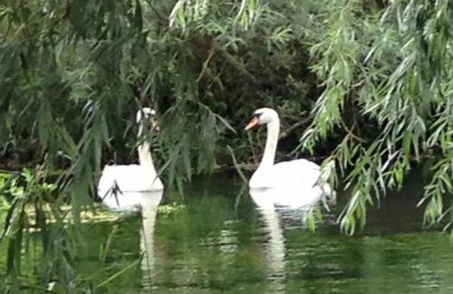 Morgan's Rest - Foto 8