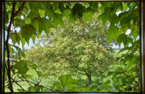 Anitas Landerlebnis - Foto 50