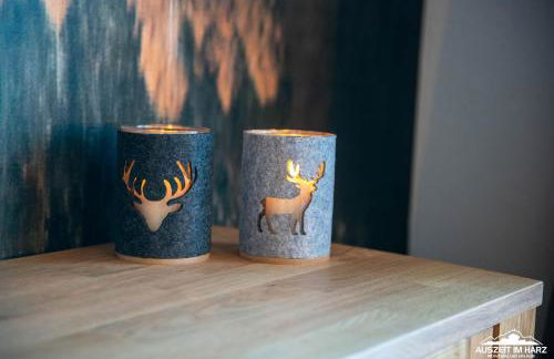 Auszeit-im-Harz Haus 5 Wohnung 25 - Foto 21