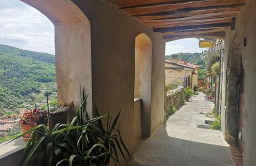 Trebiano a casa dei nonni - Foto 27