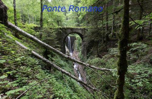 Casa Federica - Foto 20