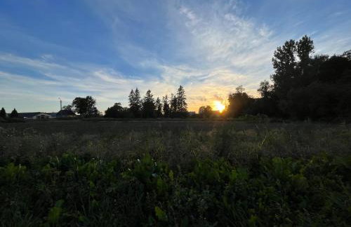 Kasztanówka - dom gościnny na Podlasiu, agroturystyka - Foto 28