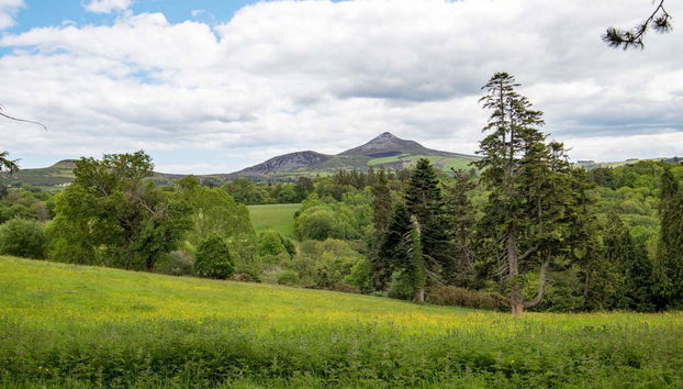 Excursión a Wicklow y Glendalough - Foto 4
