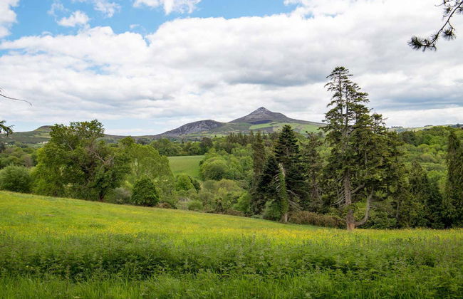Glendalough, Wicklow & Kilkenny Day Trip - Photo 4