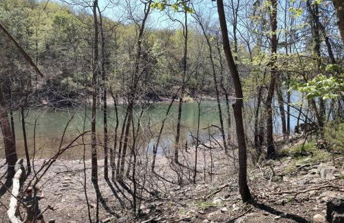 Secluded Lakeview retreat by Eureka Springs-CANOE - Foto 25