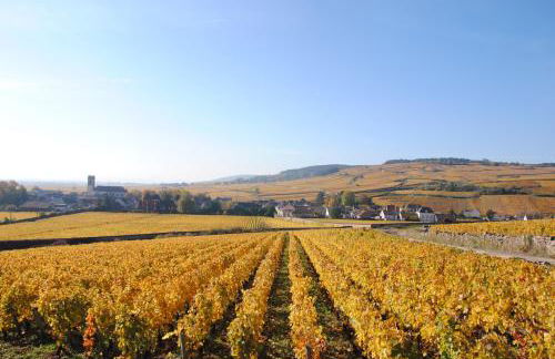 La Maison des Rugiens - Foto 30