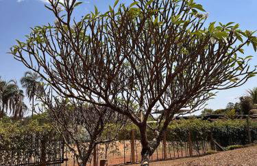 Jardim dos Sentidos no Lago Sul - Foto 57