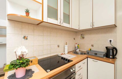 Apartment Family Toki - One Bedroom Apartment with Terrace - Foto 8