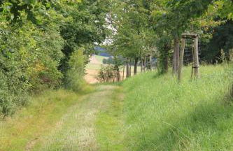 Apfelscheune Cannewitz - Foto 67