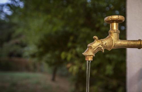 Apartments Juranić - Photo 10