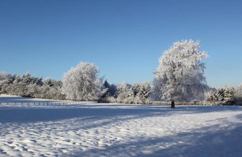 The Granary - Foto 17