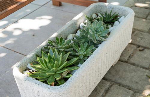 Riserva-La marea - Foto 7