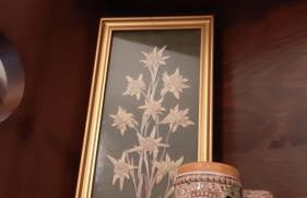 Casa Leuca ALBENGA - Foto 14