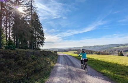 Gästehaus Fehrenbacher Schweiz - Foto 7