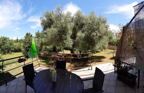 Apartments Juretic - Photo 16