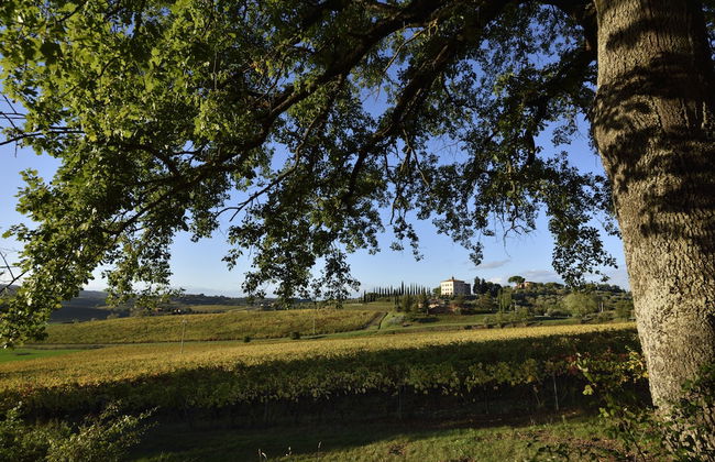 Relais Villa Grazianella - UNA Esperienze - Foto 54