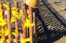 Żurawisko - Domki wśród natury - Foto 49