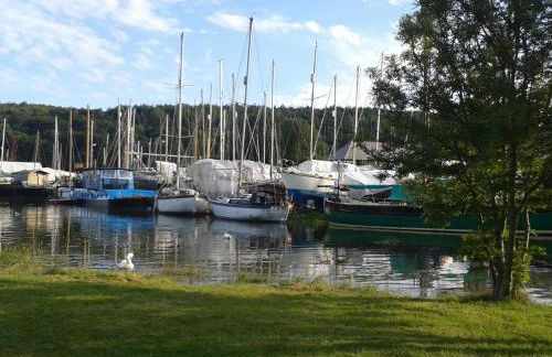 Little Acorns - Photo 41