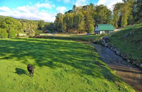 Fairytale: Hot Tub & Trout Stream & Petting Zoo? - Foto 11