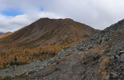 Cà dei Zoani casa vacanze 022139 AT 722787 - Foto 41