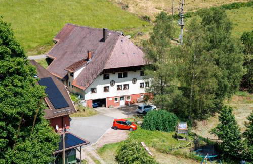 Hinterhauensteinhof - Foto 4