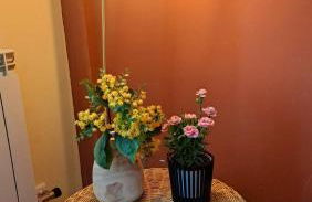 Garnacha Tinta VT-LR-2179 - Photo 12