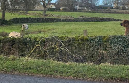 Johns Cottage - Photo 51