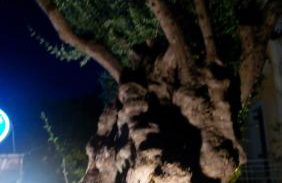 Marketos Apartments - Foto 41