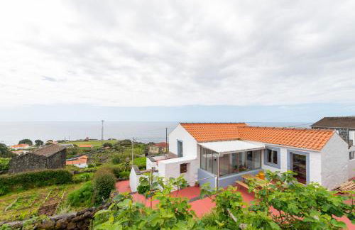 Lobo do Mar - Photo 16