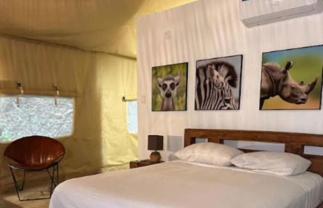 Villa Noelia - Foto 44